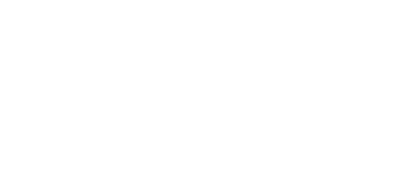 Zest Optical